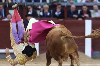 Morante de la Puebla