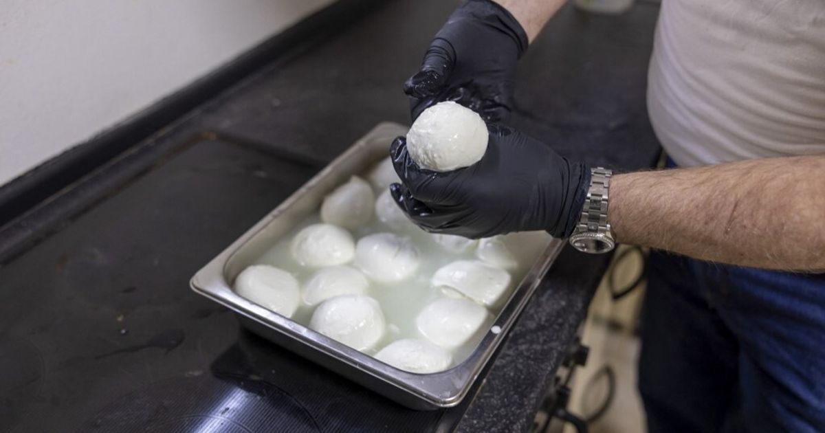 la mozzarella di bufala campana dop abitudini di consumo e reputazione digitale nei mercati europei