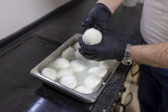 Mozzarella di Bufala