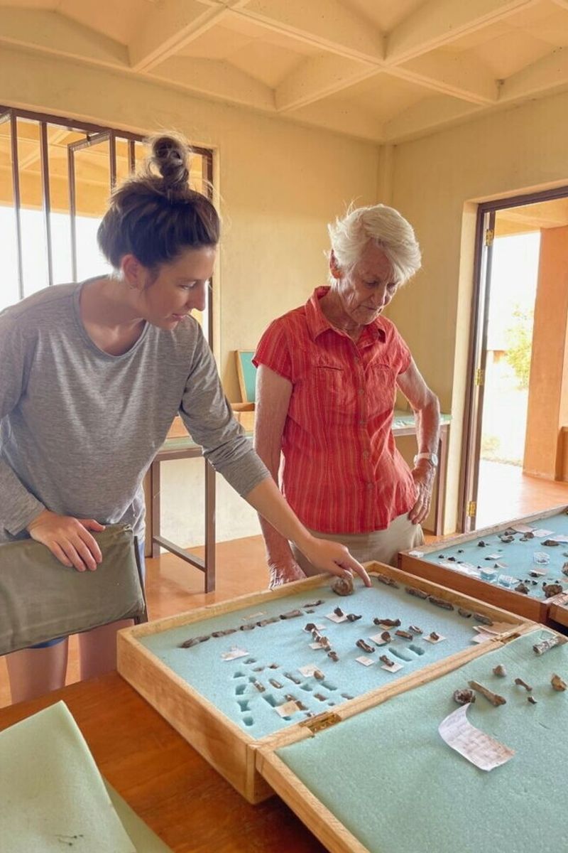 Le mani dei primi ominidi? Afferravano gli utensili ma non avevano una presa forte