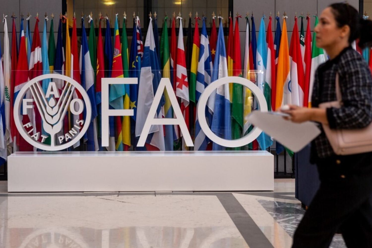 Giornata mondiale dell'alimentazione, l'appello del Papa a raggiungere l'obiettivo "Fame Zero"