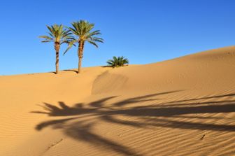 Deserto del Sahara