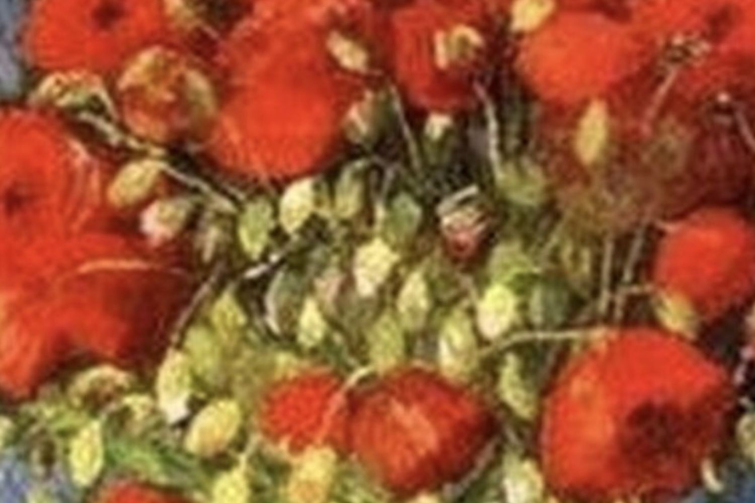 I Papaveri di Van Gogh