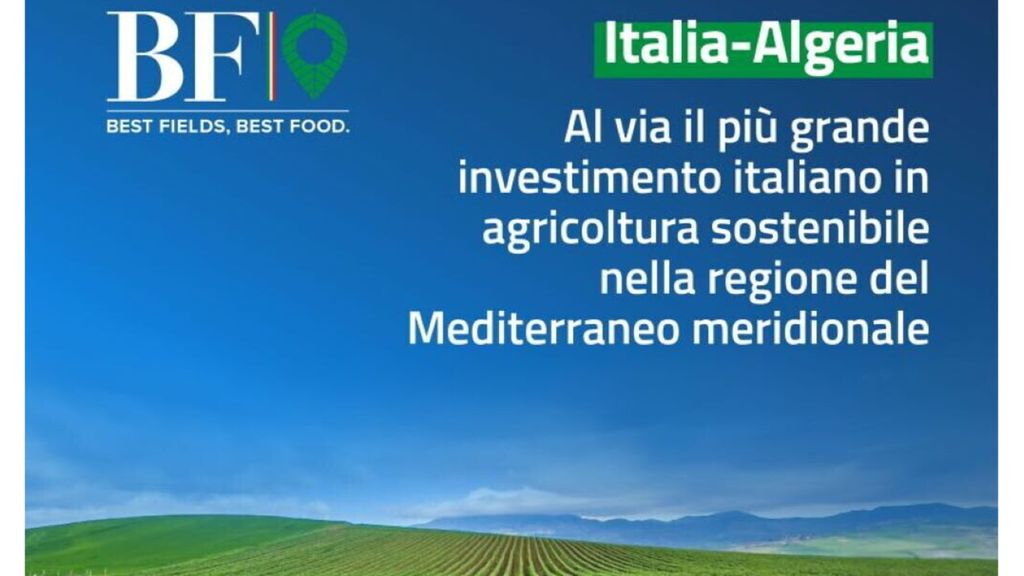 Una nuova fase di cooperazione strategica tra Italia e Algeria