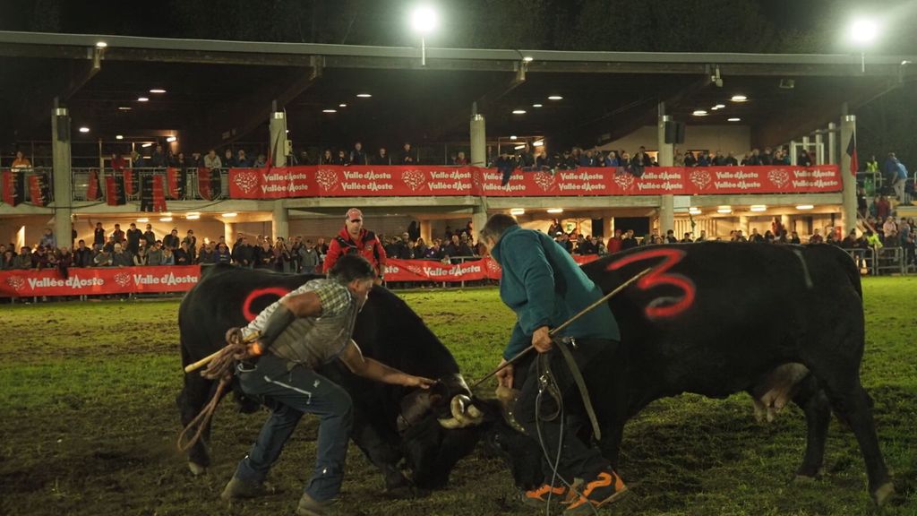 In Valle d'Aosta la Bataille des Reines