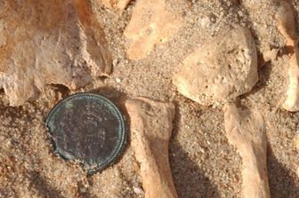 ottone della Guardia Imperiale scoperto durante gli scavi