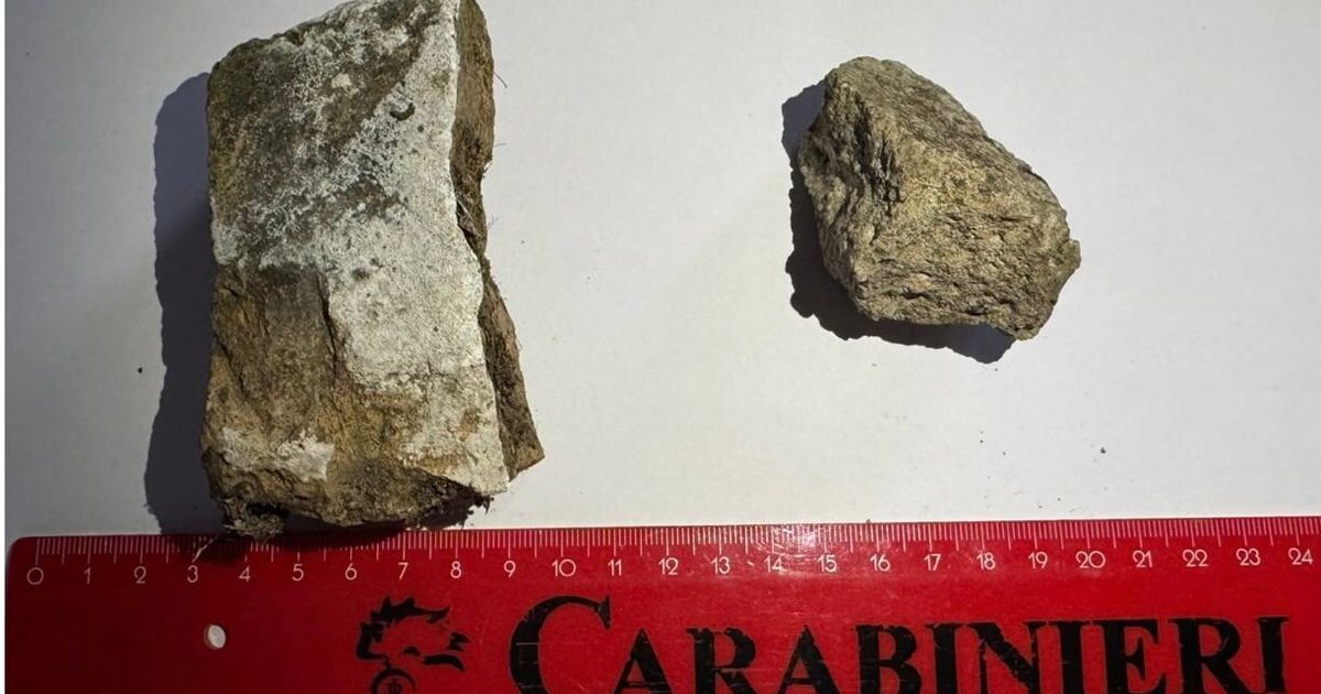 le volevo per la mia collezione turista denunciato a pompei per furto di reperti