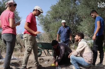 Syrie–Italie: reprise des travaux de la mission archéologique conjointe à Tel al Samhaneh