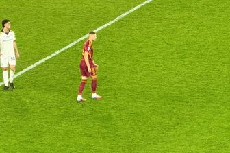 Dobvyk in campo in Roma-Parma