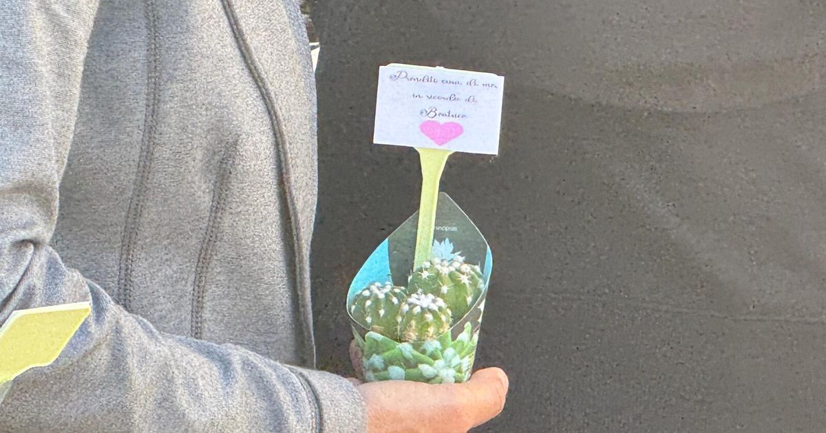 prenditi cura di me in ricordo di beatrice