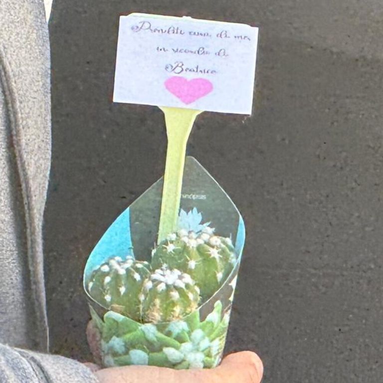 "Prenditi cura di me in ricordo di Beatrice".