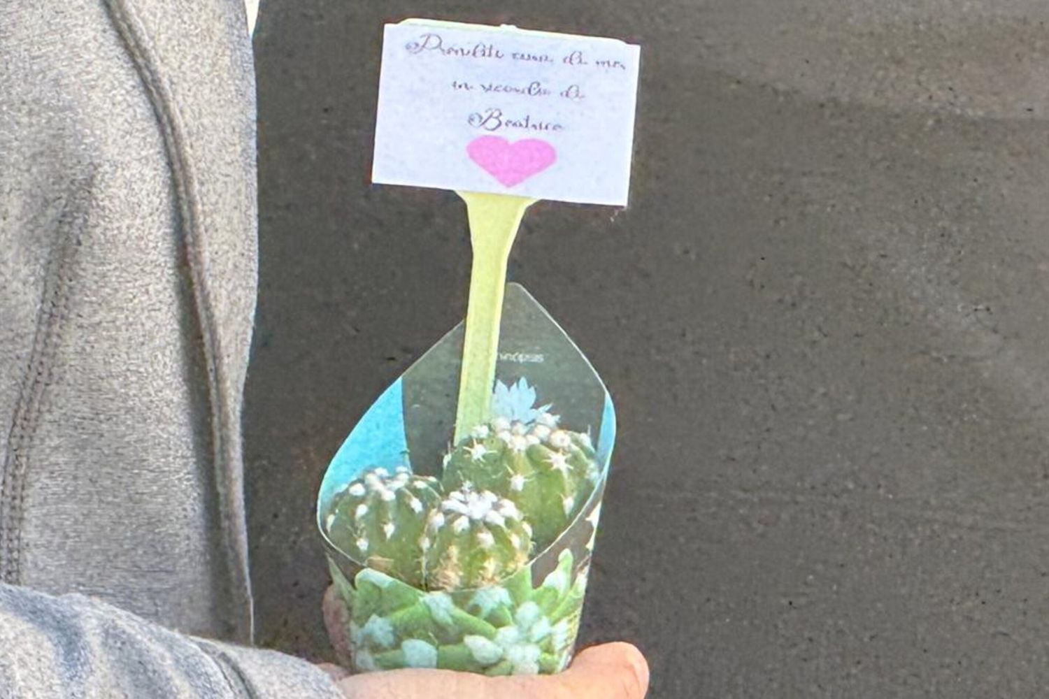 "Prenditi cura di me in ricordo di Beatrice".