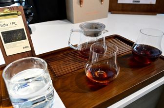 Dubai serve la tazza di caffè più costosa al mondo: 850 euro per il 'Nido 7 Geisha'