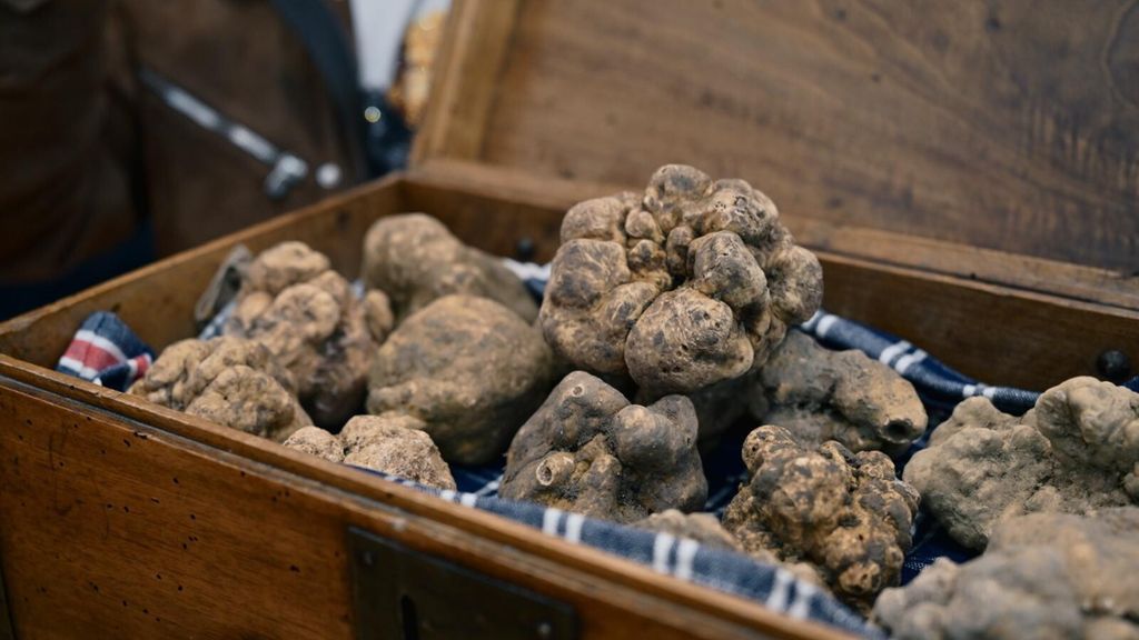 Tartufi, Città di Castello