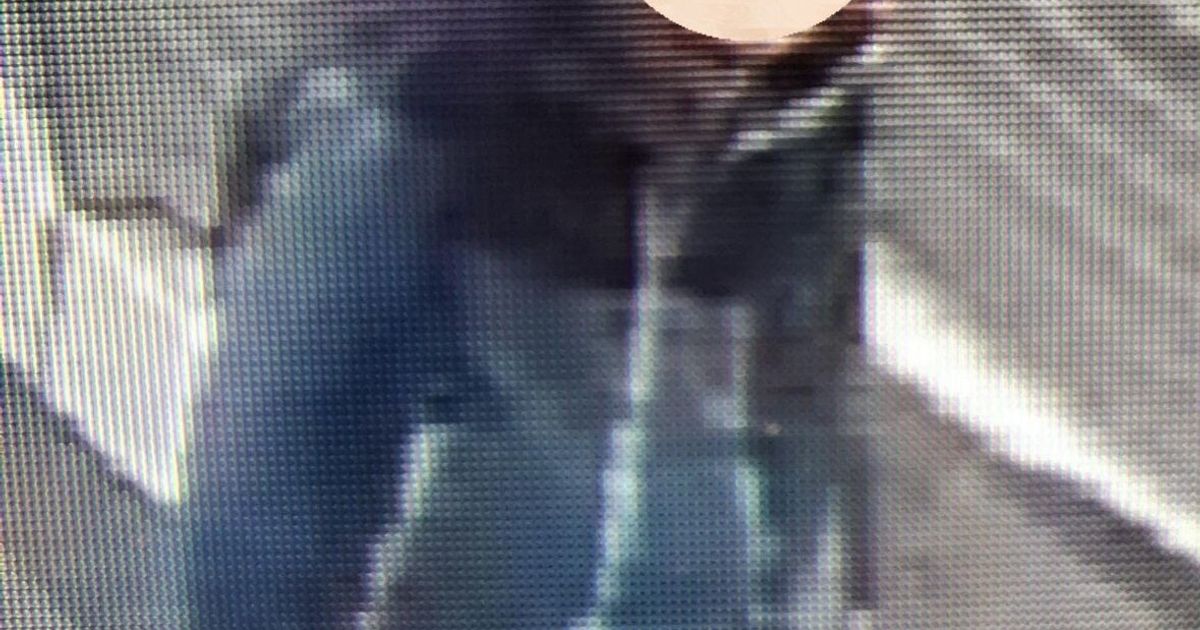 Milano, donna accoltellata alle spalle senza motivo. Il video dell