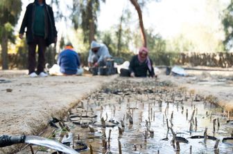 Tunisie-Italie: coopération renforcée pour la gestion des eaux et la sécurité alimentaire