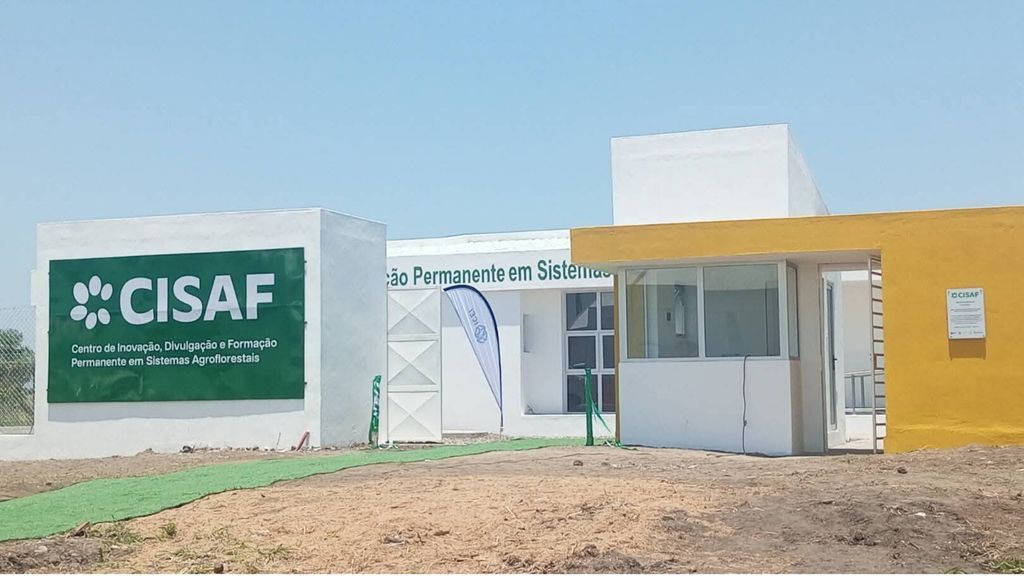 L'Italia apre un centro di innovazione agroforestale in Mozambico