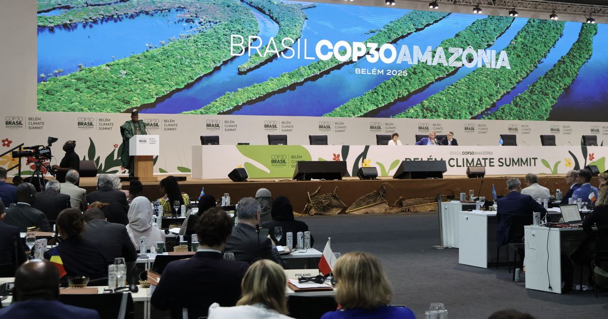 ブラジルでの気候サミット。タジャーニ氏：「現実的なアプローチが必要だ」
