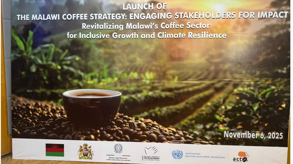 Au Malawi l'Italie soutient la stratégie nationale du café