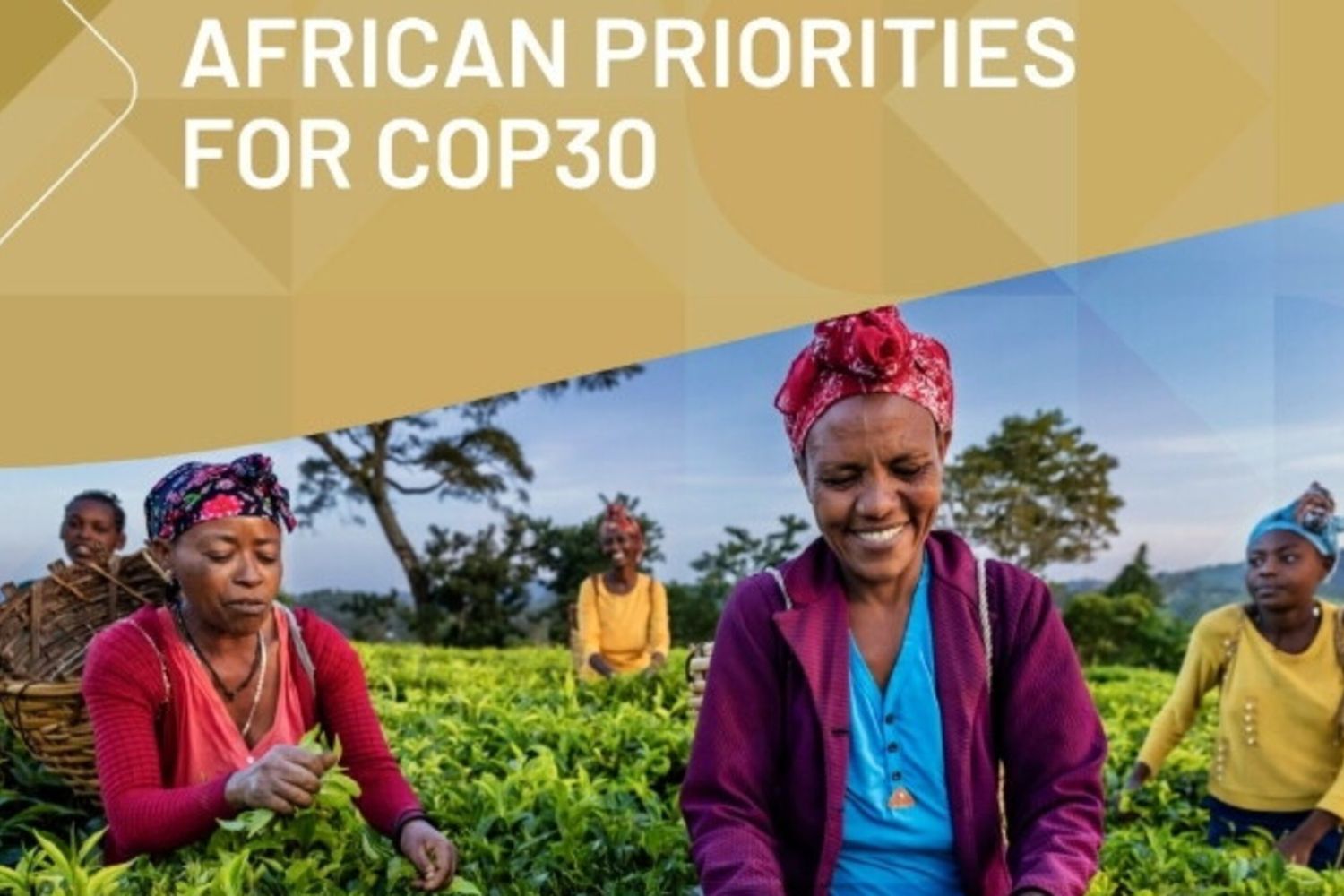 Cop30: l'Africa chiede misure prioritarie contro il cambiamento climatico