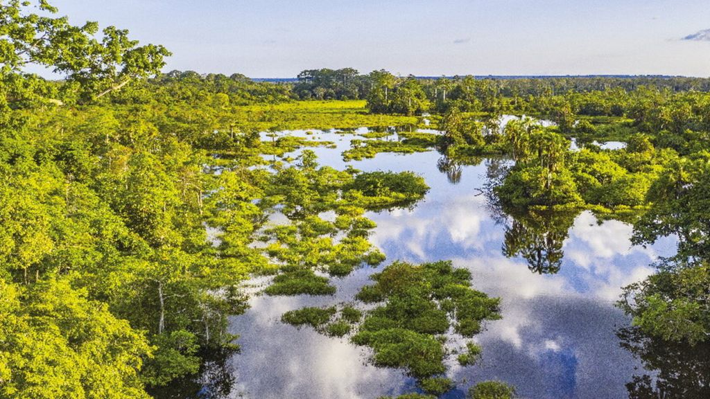 Cop30: l'Africa chiede misure prioritarie contro il cambiamento climatico