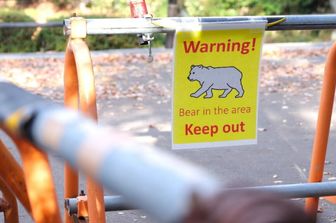 Gli Aavvisi anti orso