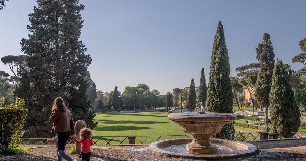 Le città italiane sono poco verdi: 24 alberi ogni 100 abitanti