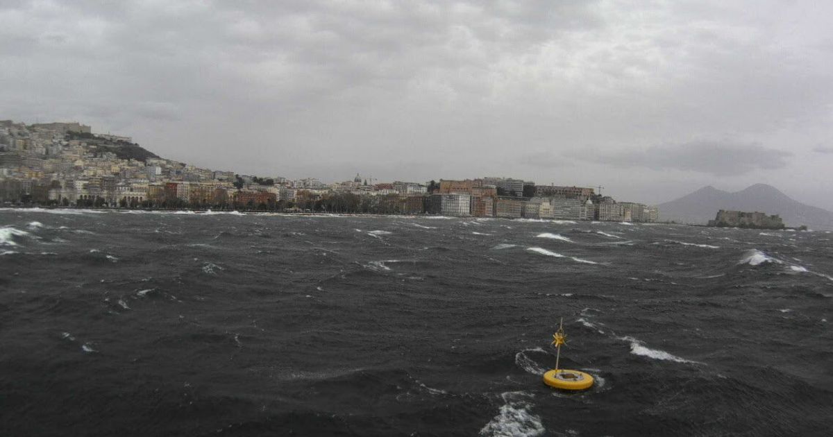 la stazione anton dohrn celebra i 10 anni di monitoraggio nel tirreno centrale