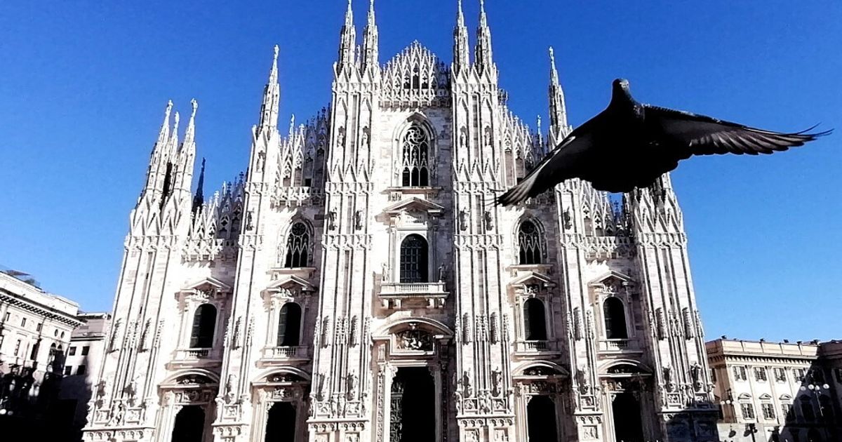 renault chiude il servizio di car sharing zity a milano e madrid