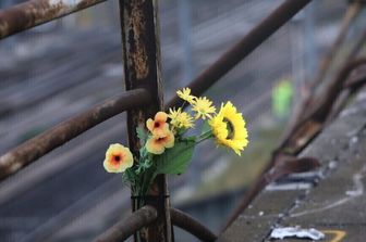 Weekend di sangue sulla strade italiane. Il Papa: "Spesso è colpa di comportamenti irresponsabili"