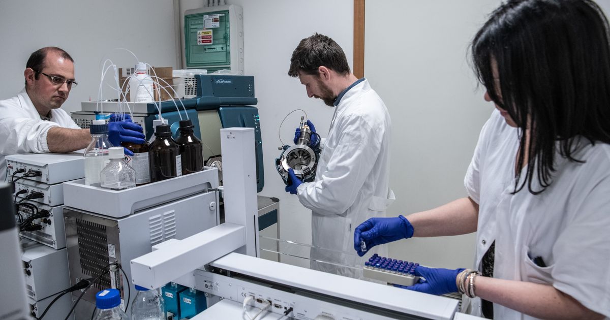 Sesso non protetto e cibi contaminati, aumentano i casi di epatite