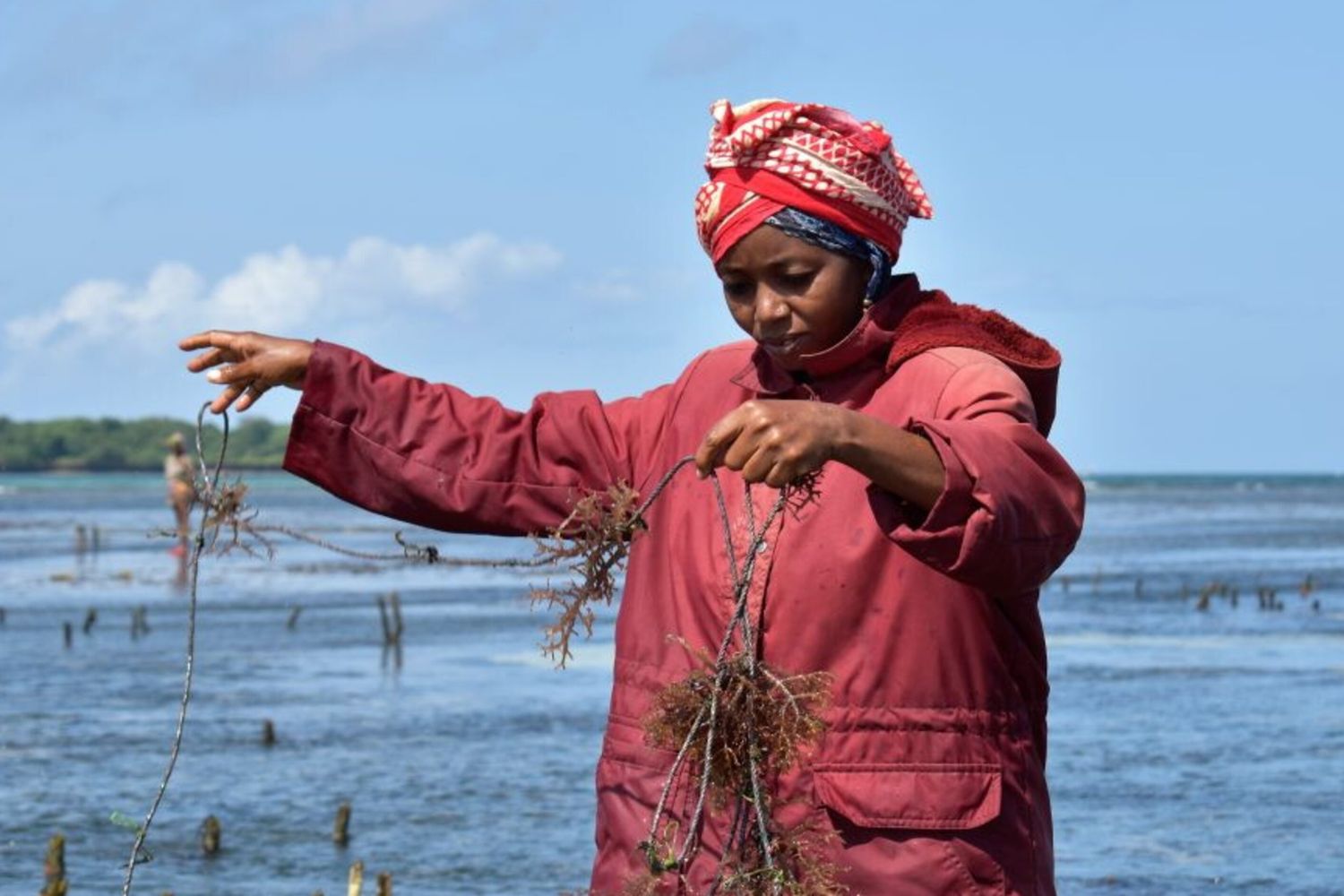 L'Italia sostiene la Somalia nello sviluppo della pesca sostenibile