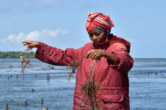 L'Italia sostiene la Somalia nello sviluppo della pesca sostenibile