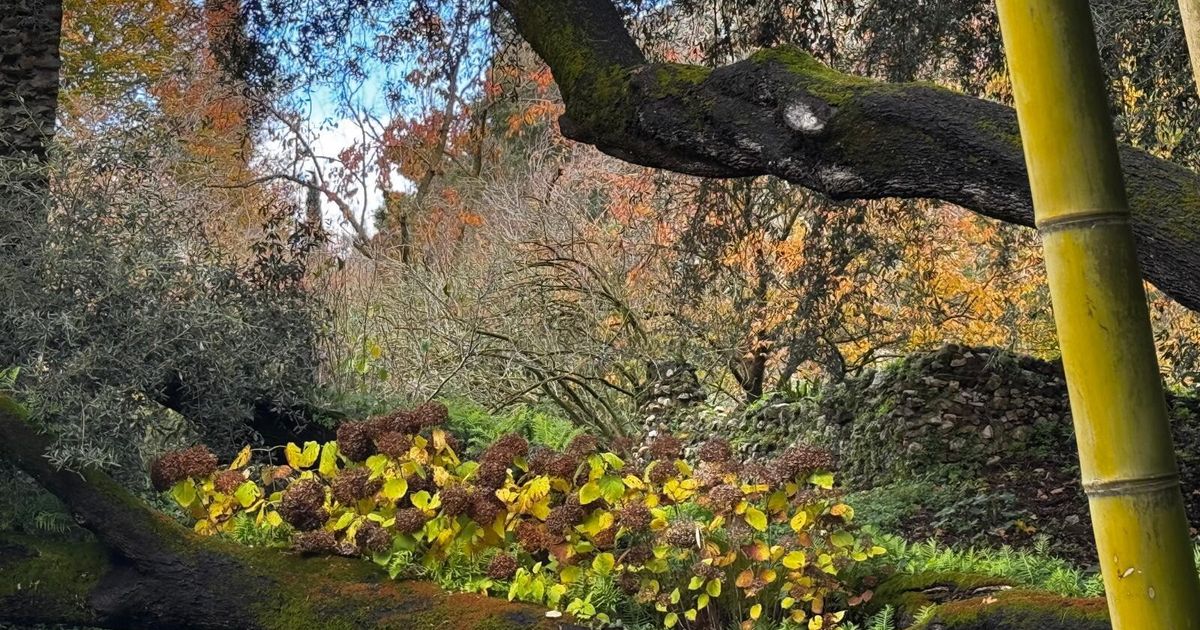 Il Giardino di Ninfa apre l