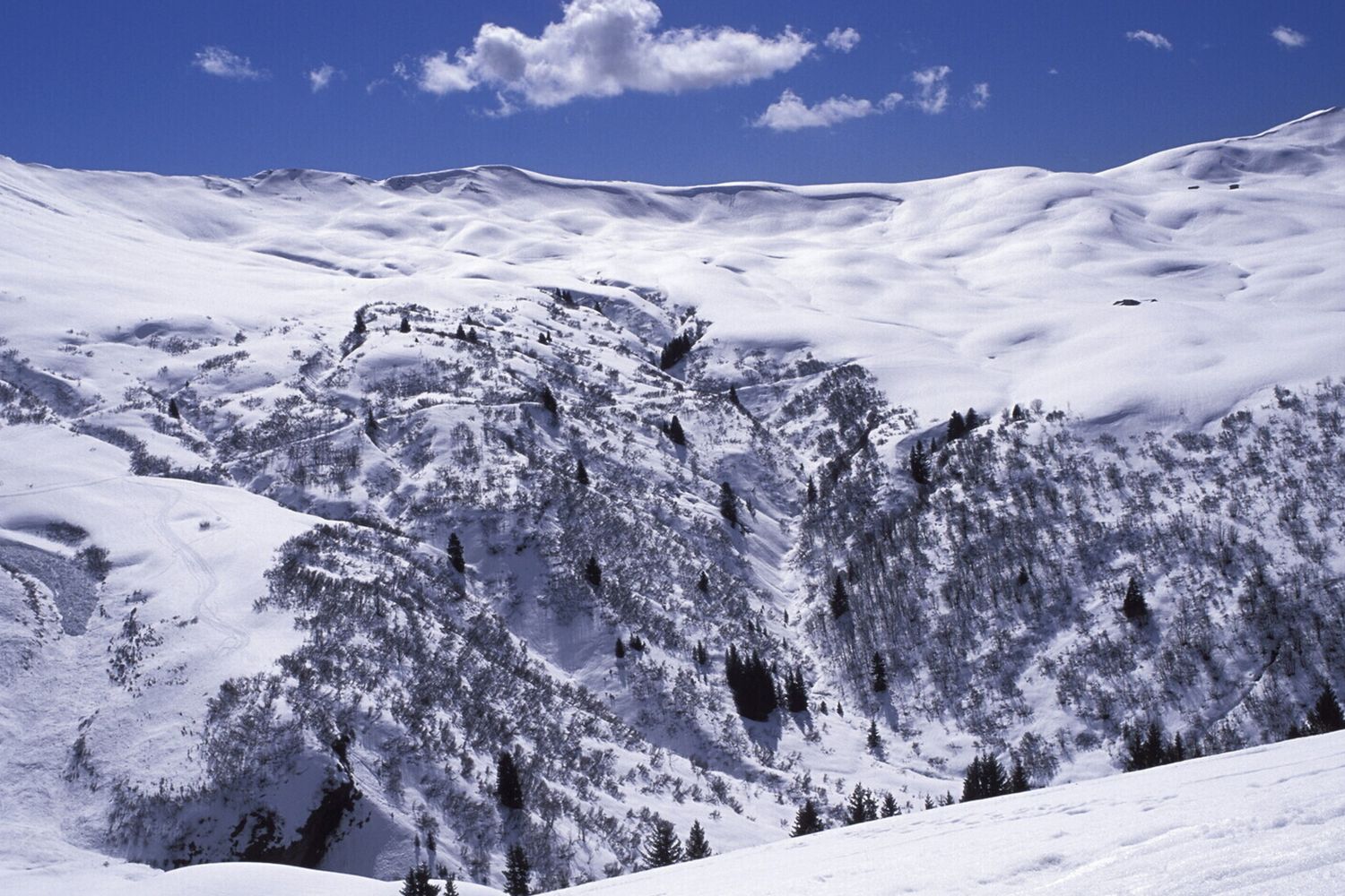 Una montagna innevata
