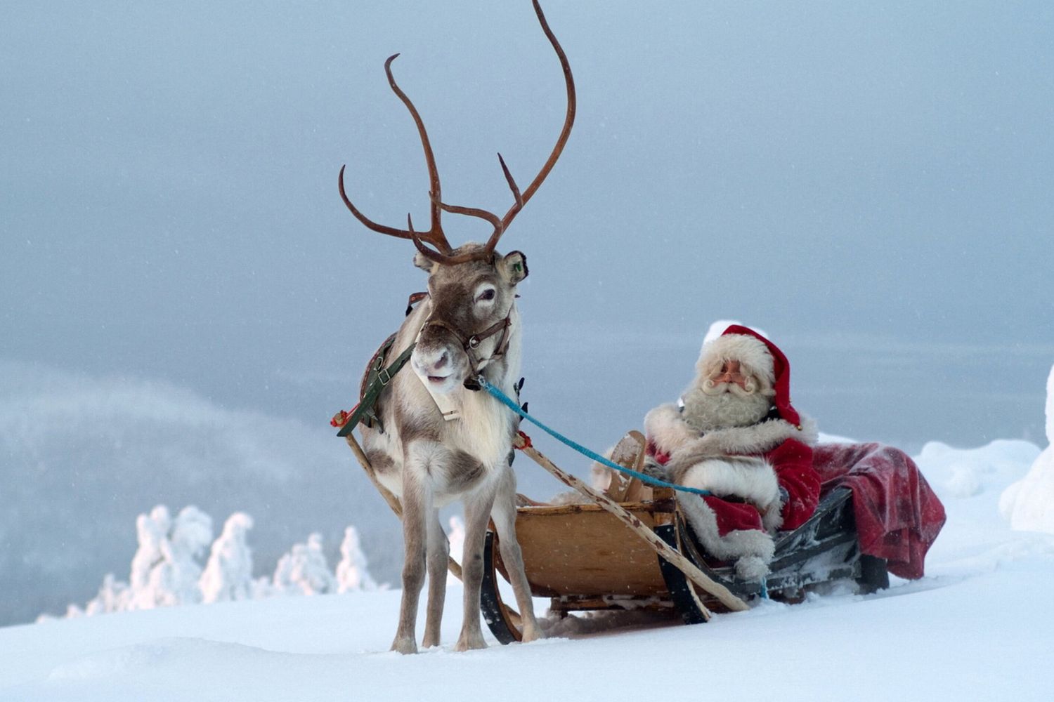 Babbo Natale in Lapponia&nbsp;