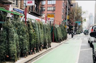Alberi di Natale a New York