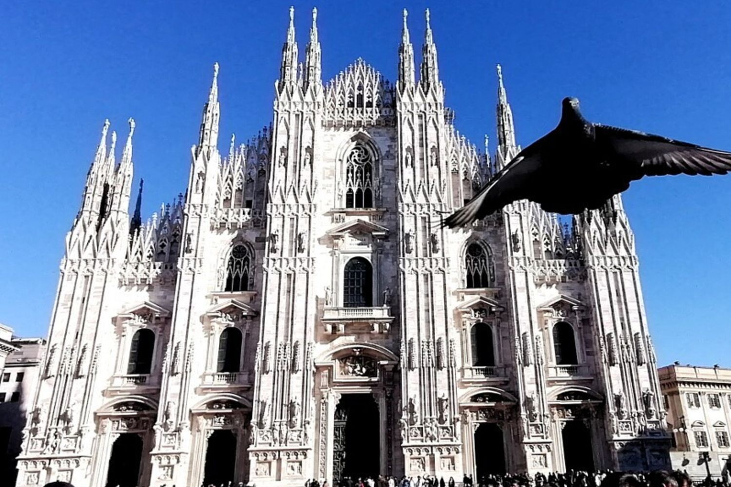Il Duomo di Milano