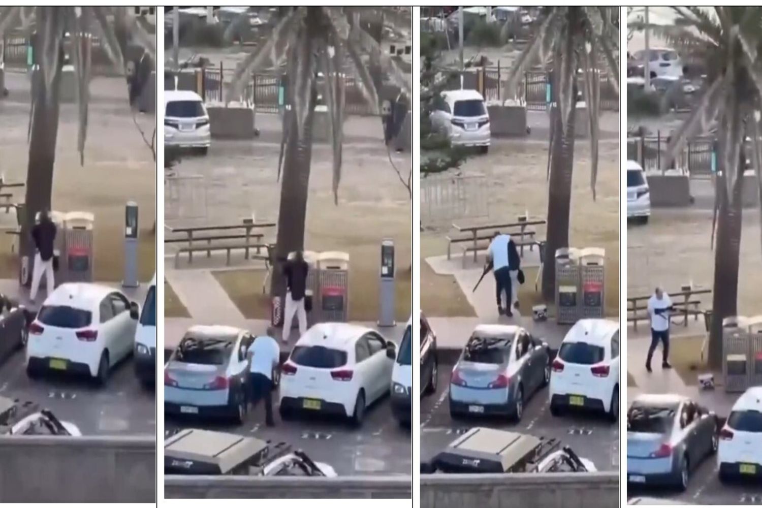 Ahmed al Ahmed  interviene a disarmare uno degli attentatori di Bondi Beach, a Sydney