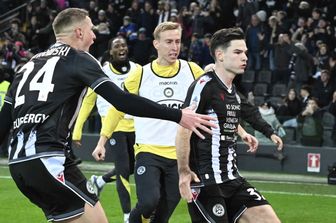 Ekkelenkamp, Udinese