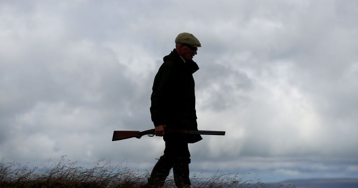 Rapine ai cacciatori nel Reggino: sette assaliti all’alba e derubati dei fucili