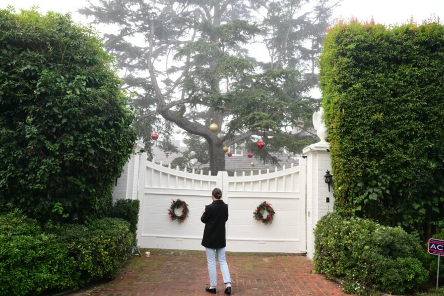 Dal set alla rehab, chi è il figlio di Rob Reiner