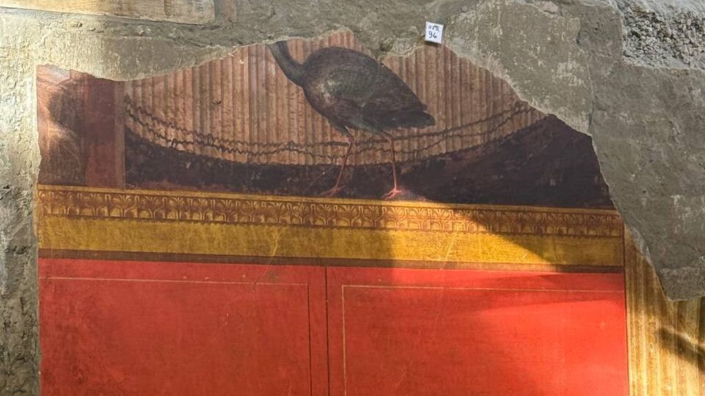 Pavonessa nel cantiere dello scavo di Oplontis