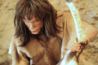 Ricostruzione di una scena di caccia del neolitico nel museo della preistoria di Tautavel, in Francia