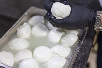 Mozzarelle di bufala