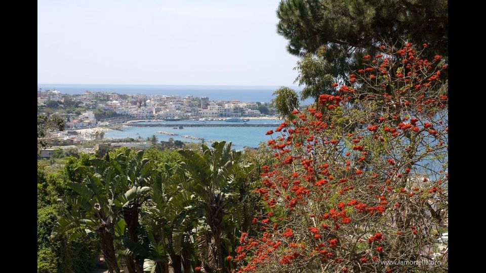 Giardini La Mortella