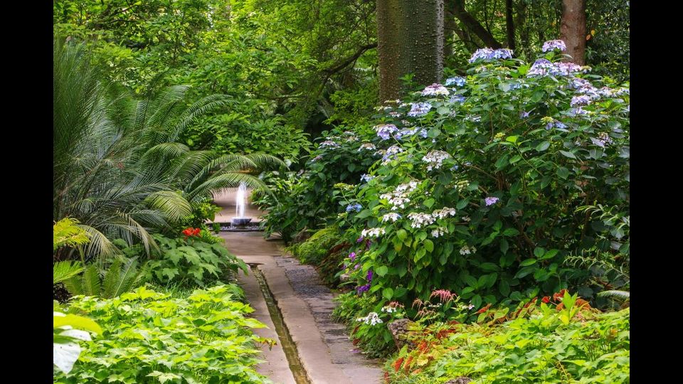 Giardini La Mortella