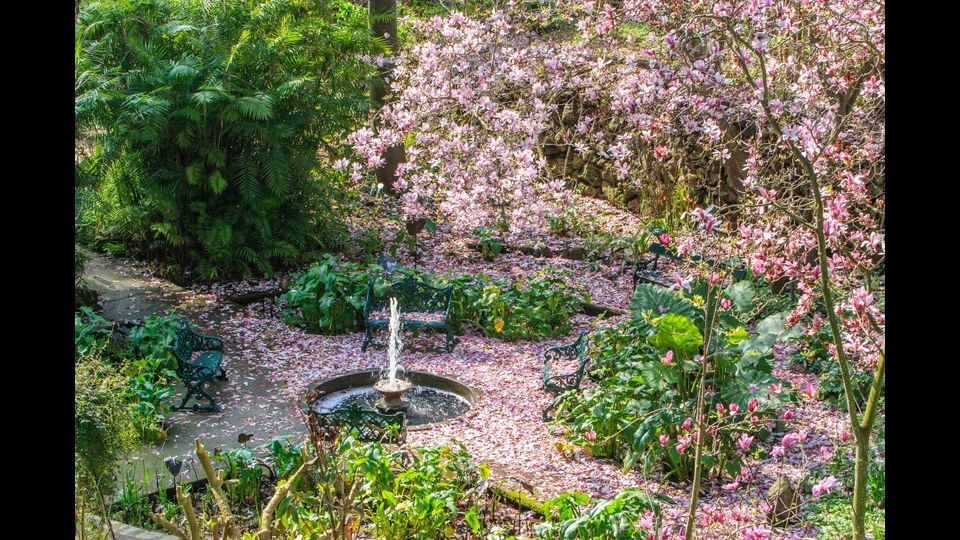 Giardini La Mortella