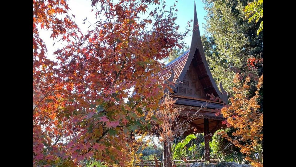 Giardini La Mortella