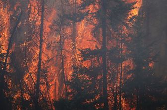 Incendio boschivo a Fort McMurray, Canada (afp)